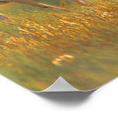 Pronghorn Antelope in Montana Poster (Ecke)