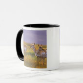 Pronghorn Antelope in Montana Tasse (Vorderseite Links)