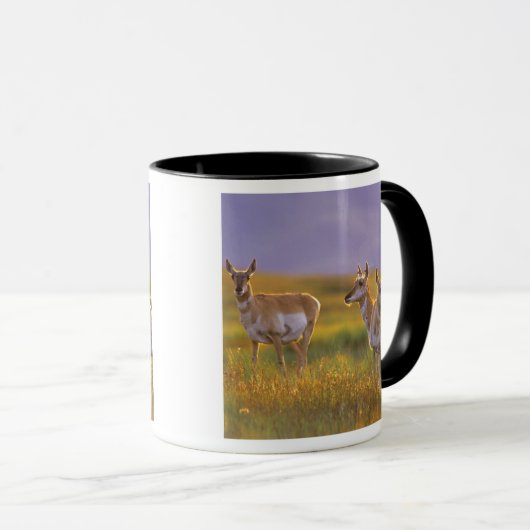 Pronghorn Antelope in Montana Tasse (VorderseiteRechts)