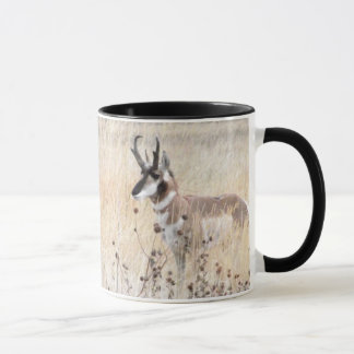 Pronghorn Antilopen-Dollar auf Wyoming-Gebiet Tasse