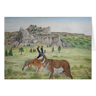 Pronghorn Antilopen-Tier-Kunst