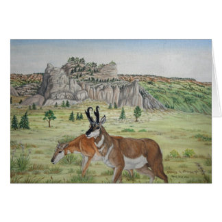 Pronghorn Antilopen-Tier-Kunst