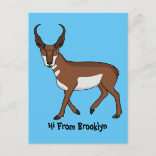 Pronghorn-Antiope-Cartoon Postkarte