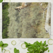 Pronghorn at Grand Teton National Park Geschirrtuch (Gefaltet)