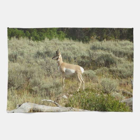 Pronghorn at Grand Teton National Park Geschirrtuch (Horizontal)