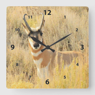 Pronghorn Buck Quadratische Wanduhr