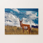 Pronghorn Deer Montana. Puzzle (Horizontal)