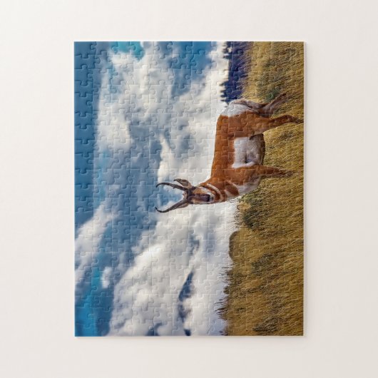 Pronghorn Deer Montana. Puzzle (Vertikal)