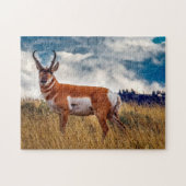 Pronghorn Deer Wyoming. Puzzle (Horizontal)