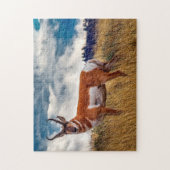 Pronghorn Deer Wyoming. Puzzle (Vertikal)