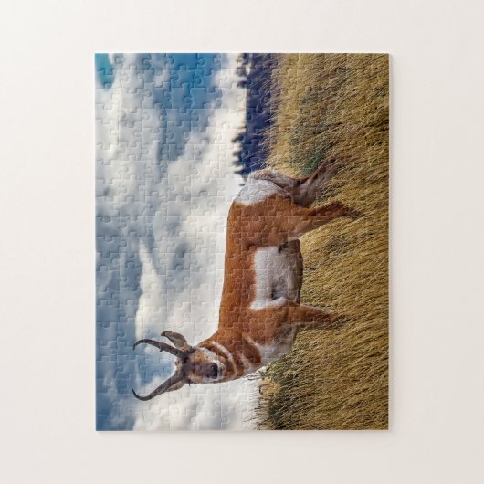 Pronghorn Deer Wyoming. Puzzle (Vertikal)
