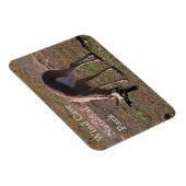 Pronghorn Grazing in Wind Cave National Park, SD Magnet (Rechte Seite)