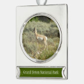 Pronghorn im Grand Teton Nationalpark Banner-Ornament Silber (Links)