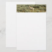 Pronghorn im Grand Teton Nationalpark Briefpapier (Vorne/Hinten)