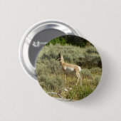 Pronghorn im Grand Teton Nationalpark Button (Vorne & Hinten)