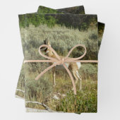 Pronghorn im Grand Teton Nationalpark Geschenkpapier Set (Beispiel)