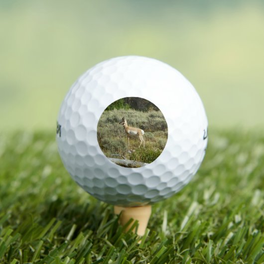 Pronghorn im Grand Teton Nationalpark Golfball (Insitu T-Shirt)