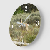 Pronghorn im Grand Teton Nationalpark Große Wanduhr (Winkel)