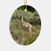Pronghorn im Grand Teton Nationalpark Keramikornament (Rechts)
