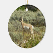 Pronghorn im Grand Teton Nationalpark Keramikornament (Links)