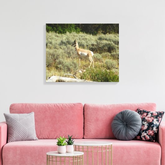 Pronghorn im Grand Teton Nationalpark Leinwanddruck (Insitu (Wohnzimmer))