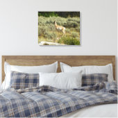 Pronghorn im Grand Teton Nationalpark Leinwanddruck (Insitu (Schlafzimmer))