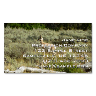 Pronghorn im Grand Teton Nationalpark Magnetische Visitenkarte