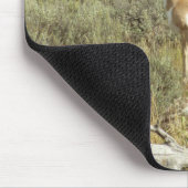 Pronghorn im Grand Teton Nationalpark Mousepad (Ecke)