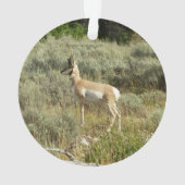 Pronghorn im Grand Teton Nationalpark Ornament (Rückseite)