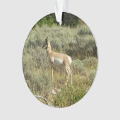 Pronghorn im Grand Teton Nationalpark Ornament (Vorderseite)