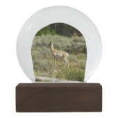 Pronghorn im Grand Teton Nationalpark Schneekugel (Rückseite)