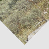 Pronghorn im Grand Teton Nationalpark Seidenpapier (Ausschnitt)