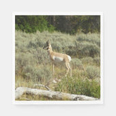 Pronghorn im Grand Teton Nationalpark Serviette (Vorderseite)