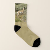 Pronghorn im Grand Teton Nationalpark Socken (Rechts - Außen)