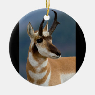 Pronghorn Porträt Keramik Ornament