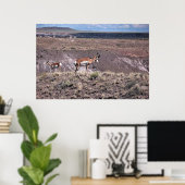Pronghorn Sheep Poster (Heimbüro)