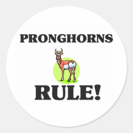 PRONGHORNS-Regel! Runder Aufkleber (Vorderseite)