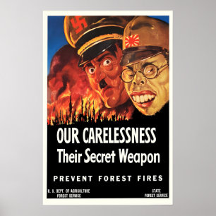 Propagandaposter USA Verhindert Waldbrände - Unser Poster