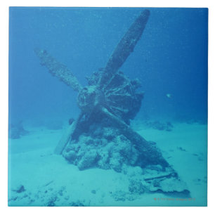 Propeller auf der Unterseite von Meer Fliese