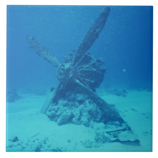 Propeller auf der Unterseite von Meer Fliese (Vorderseite)