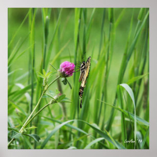 Propeller Perch Poster