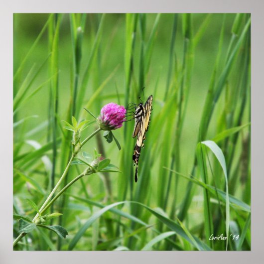 Propeller Perch Poster (Vorne)