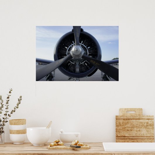 Propeller Poster (Küche)