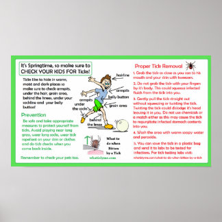 Proportionale Tick Removal Poster Lyme Prävention