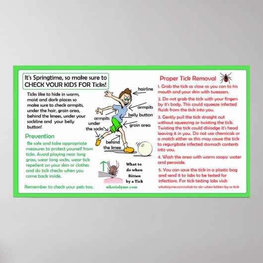 Proportionale Tick Removal Poster Lyme Prävention (Vorne)