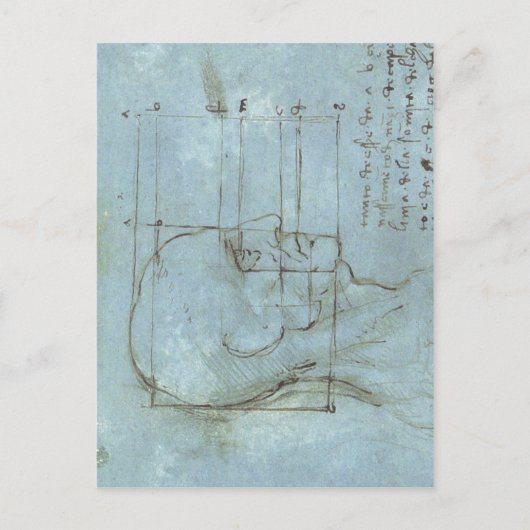 Proportionen des Kopfes 1488 1489 ) ist ein zeichn Postkarte (Vorderseite)