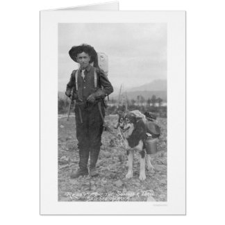 Prospector Dog Seward, Alaska 1904