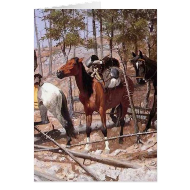 Prospektierung für Vieh-Strecke (Vorne)