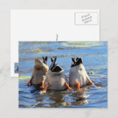 Prost! Postkarte (Vorne/Hinten)