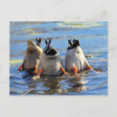 Prost! Postkarte (Vorderseite)